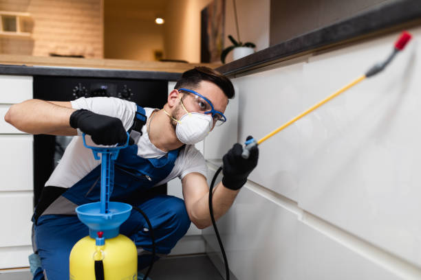 Best Bed Bug Extermination  in Hamilton, OH