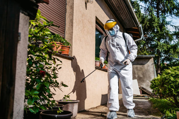 Reliable Hamilton, OH Pest Control Solutions