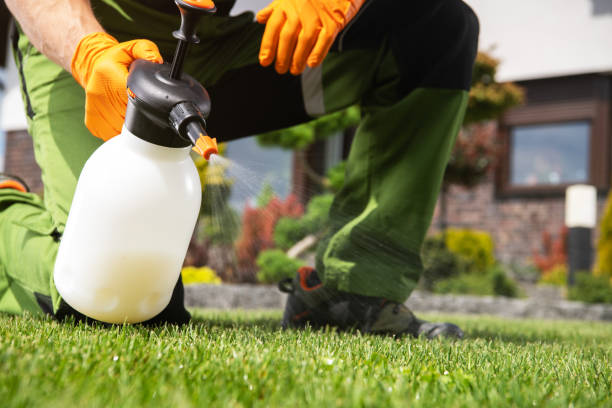 Best Affordable Pest Control Services  in Hamilton, OH