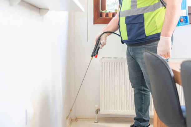 Wasp Removal Services in Hamilton, OH