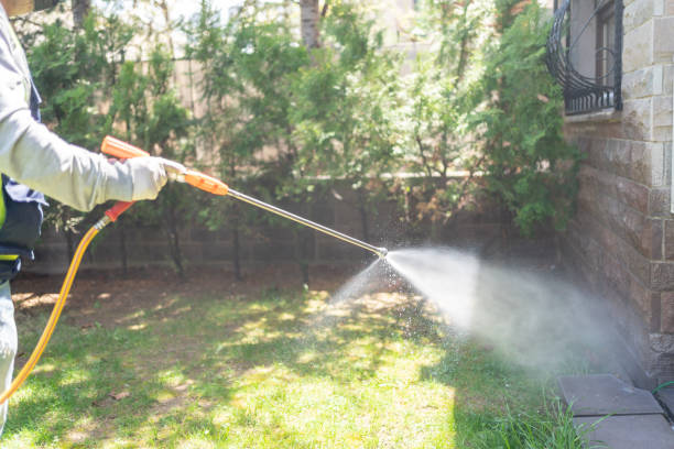Best Ant Control Services  in Hamilton, OH