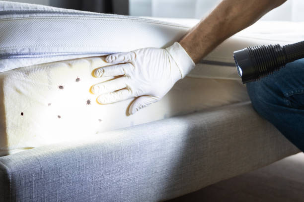 Pest Prevention Services in Hamilton, OH