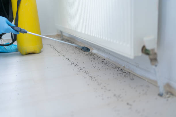 Best Pest Inspection Near Me  in Hamilton, OH