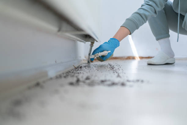 Best Flea Control Services  in Hamilton, OH